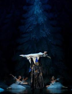RC Illustration. Le lac des cygnes. The Moscow City Ballet. 2014-12-05.jpg